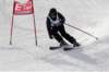 dsc00503_small.jpg