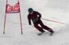 dsc00611_small.jpg