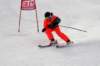 dsc00620_small.jpg