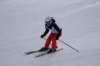 dsc00682_small.jpg