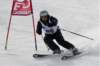 dsc00740_small.jpg