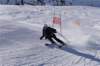 dsc00002_small.jpg