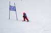 dsc00117a_small.jpg
