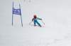 dsc00130a_small.jpg