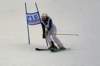 dsc00561a_small.jpg
