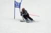 dsc00767a_small.jpg