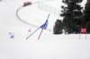 dsc00793a_small.jpg
