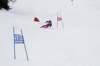 dsc00873a_small.jpg