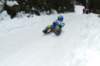 p1110379_small.jpg