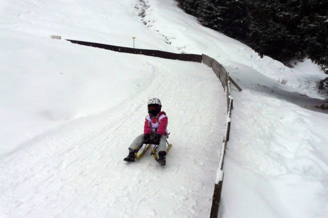 p1160878.jpg
