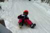 p1180542_small.jpg
