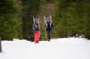 dsc04338_small.jpg