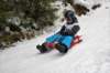 dsc04457_small.jpg