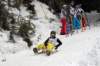 dsc04488_small.jpg