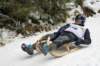 dsc04534_small.jpg