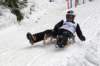 dsc04585_small.jpg