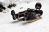 dsc04617_small.jpg
