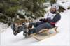 dsc04627_small.jpg