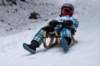 dsc04681_small.jpg