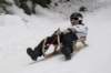 dsc04702_small.jpg