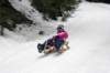 dsc04704_small.jpg