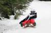 dsc04710_small.jpg