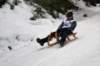 dsc04734_small.jpg