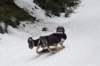 dsc04755_small.jpg