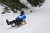dsc04786_small.jpg