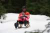 dsc04809_small.jpg