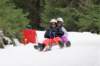 dsc04822_small.jpg