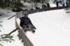 dsc04884_small.jpg