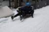 dsc04934_small.jpg
