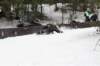 dsc04936_small.jpg