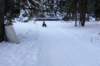 dsc00006_small.jpg