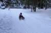 dsc00012_small.jpg