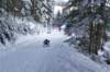 dsc00013_small.jpg
