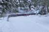 dsc00014_small.jpg