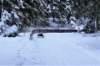 dsc00015_small.jpg