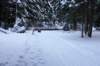dsc00016_small.jpg
