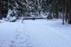 dsc00018_small.jpg