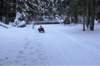 dsc00019_small.jpg