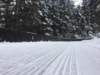 img20190127wa0002_small.jpg