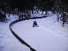 Photo Number 11