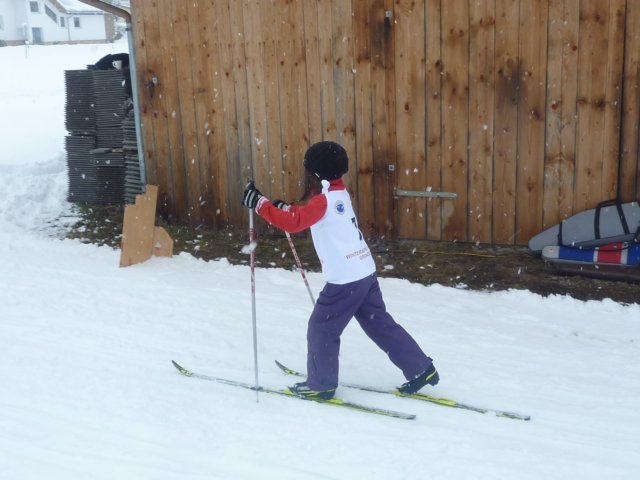 p1060538.jpg