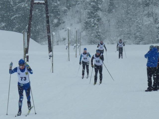 p1060587.jpg