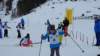 img20170205wa0007_small.jpg