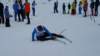 img20170205wa0032_small.jpg