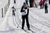 dsc05113_small.jpg