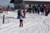 dsc05147_small.jpg